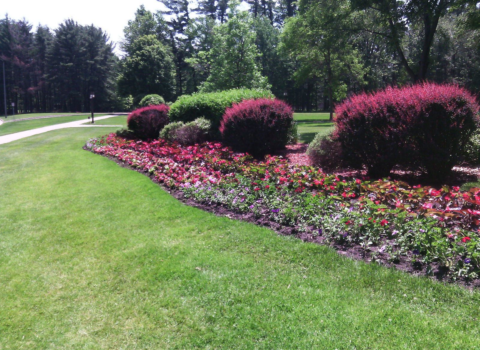 IMG_20150610_132556.jpg