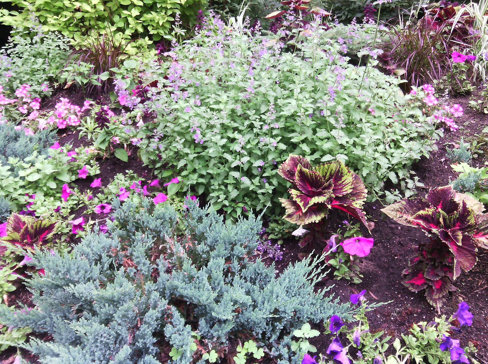 IMG_20150626_102247.jpg