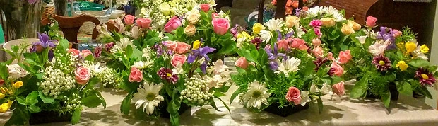 IMG_20170616_211620.jpg