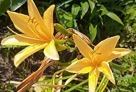 IMG_20200817_150517658.jpg