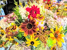 IMG_20190901_121831~2.jpg