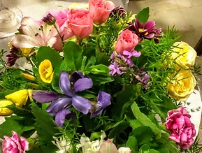 IMG_20170616_211658.jpg