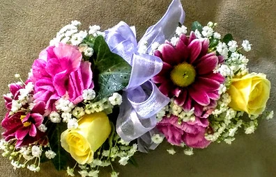 IMG_20170616_105034_edited.jpg