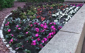 IMG_20160111_204733.JPG