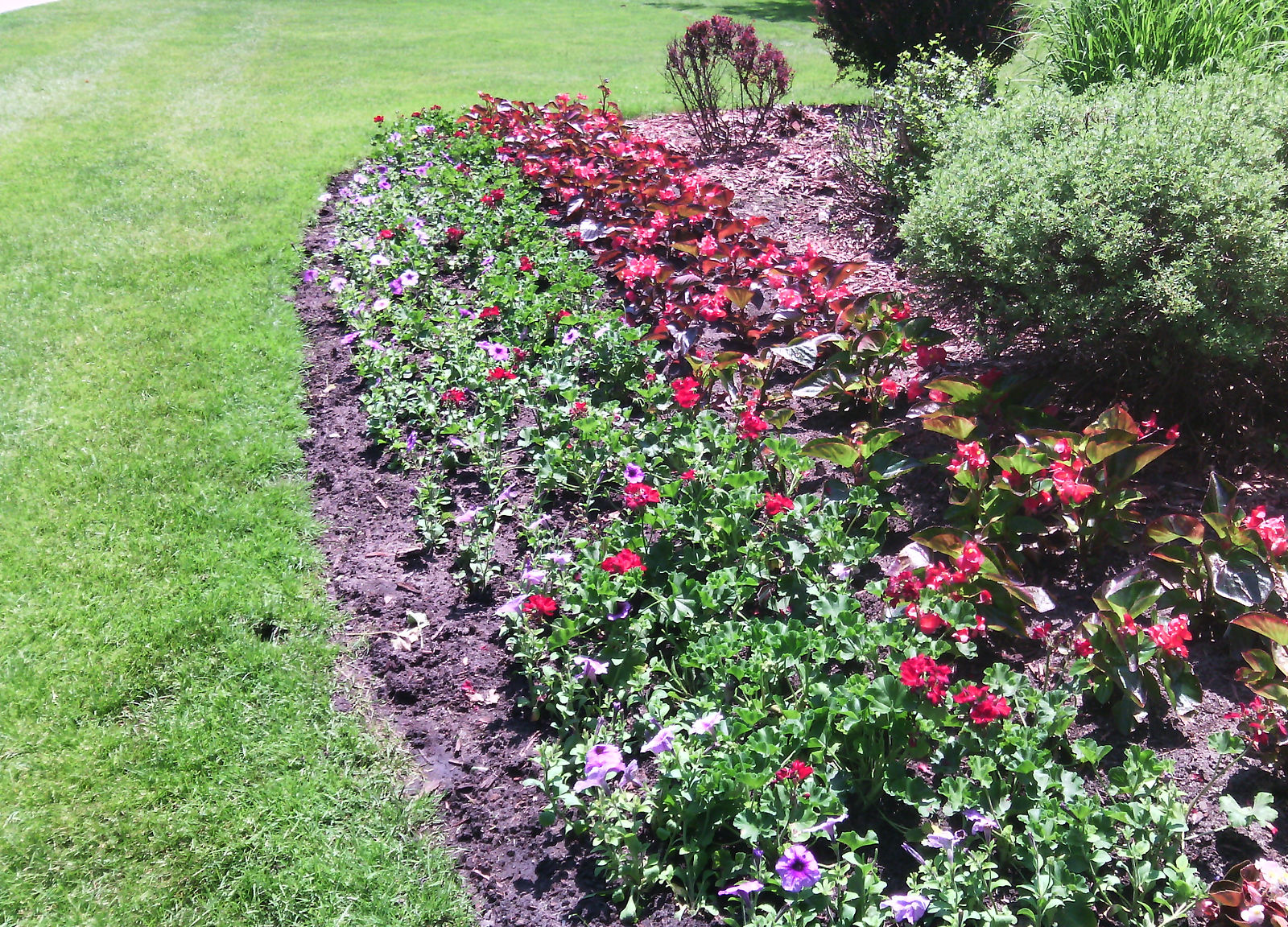 IMG_20150610_132622.jpg