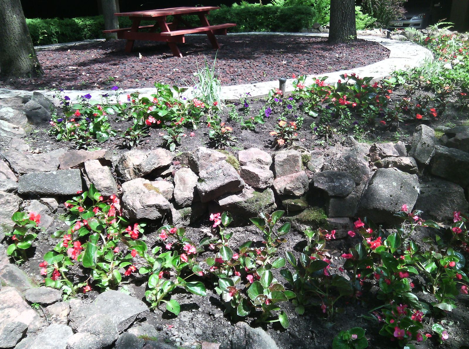 IMG_20150610_113543.jpg