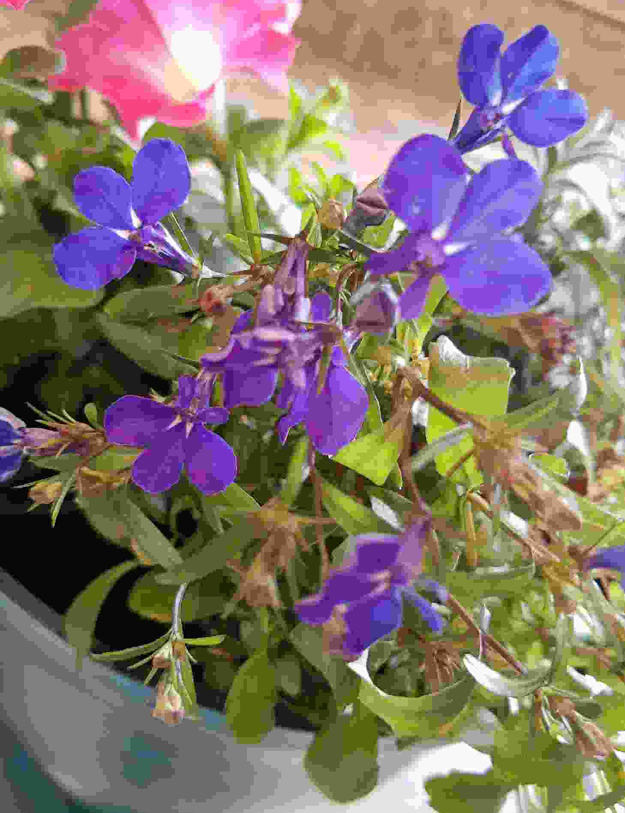 photo2(1).jpeg