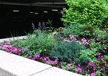 IMG_20150626_102252.jpg