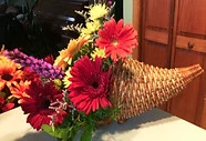IMG_20151126_104846.JPG