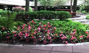 IMG_20150728_105609.jpg