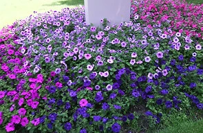 IMG_20150715_143005.jpg